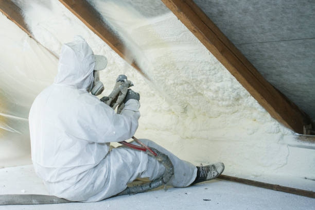 Best Pipe and Duct Insulation  in Potterville, MI