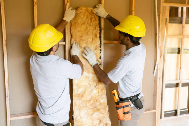 Best Blown-In Insulation  in Potterville, MI